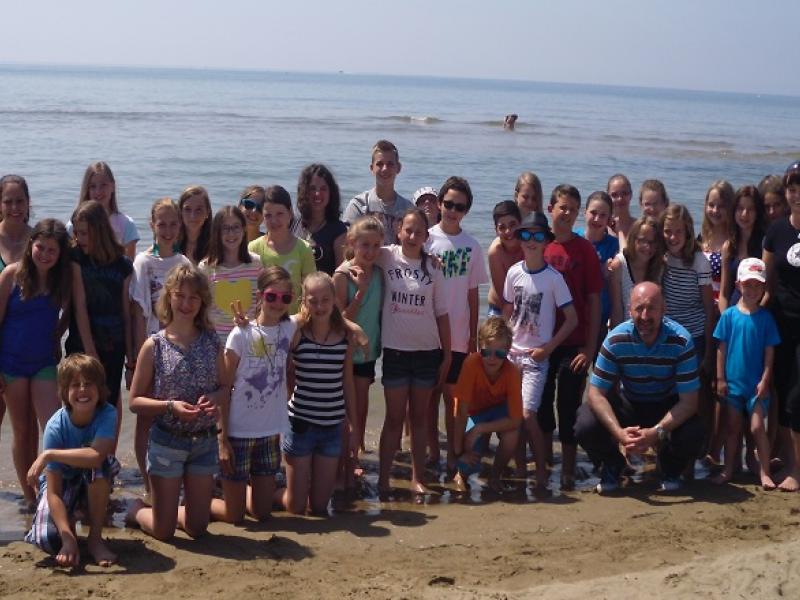 Slika 4: 2ac bibione majhna