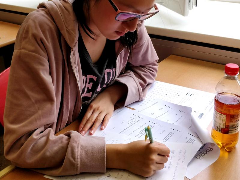 Slika 2: Finalistka Lulu pri reševanju nalog, © Niko Ottowitz
