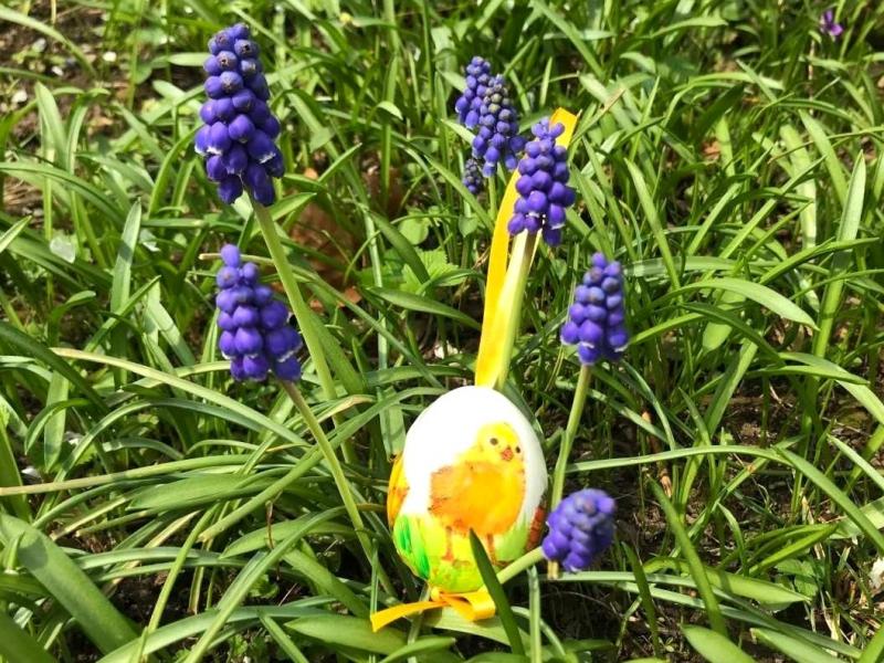 Slika 1: {image:field1}