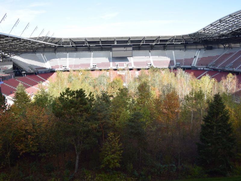 Bild 2: Der wundervolle Wald inmitten des Klagenfurter Stadions, ©Luka Lampichler
