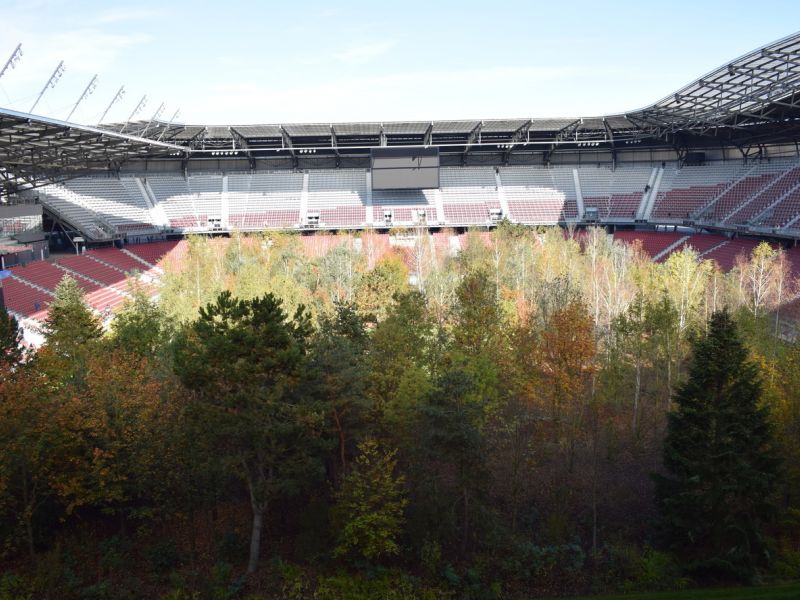 Slika 2:
Čudoviti gozd sredi stadiona kot opozorilo, ©Luka Lampichler