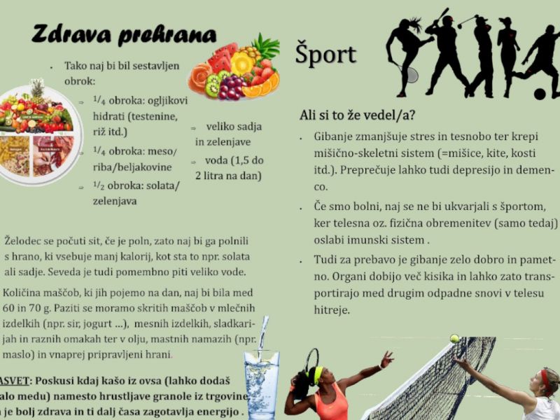 Slika 3: