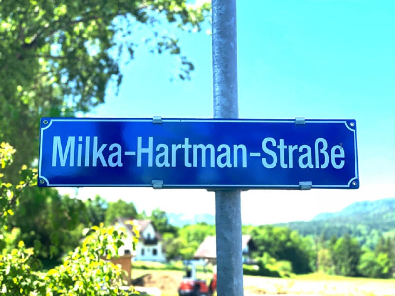 Slika 11: Milka-hartman-straße / cesta
