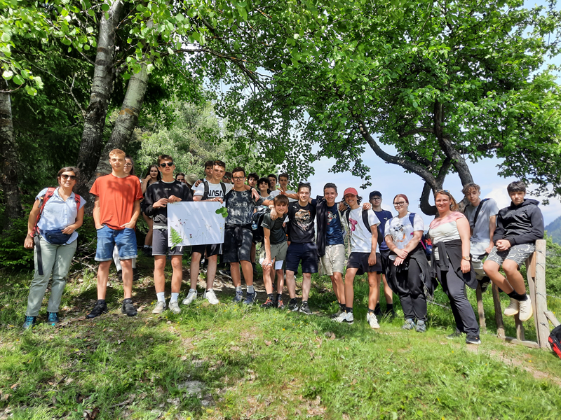 Bild 2: Biologiestunde auf einer Bergwiese © Aloisia Gomez