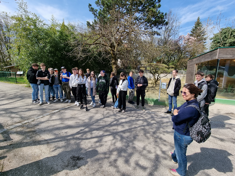 Slika 9: 4B v živalskem vrtu, &copy;Christian Urak