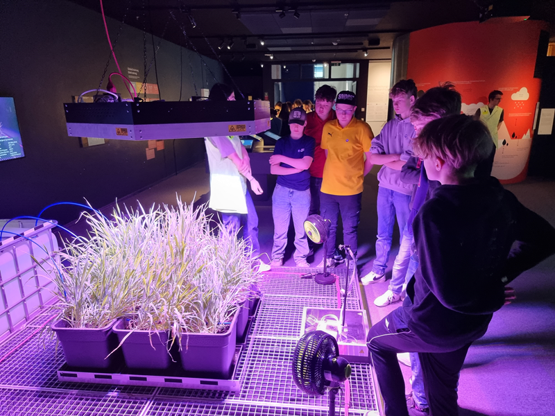 Slika 10: Umetna nega rastlin v ARS electronica, &copy;Christian Urak