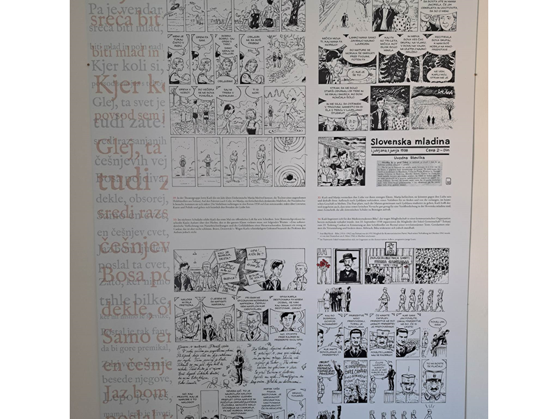 Slika 4: Pogled v strip