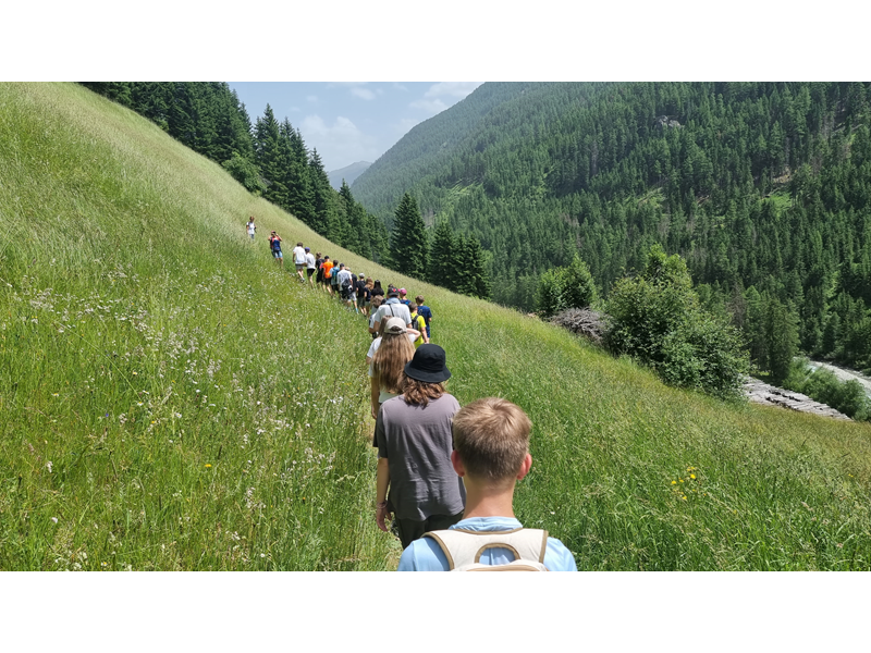 Slika 2: {image:field1}