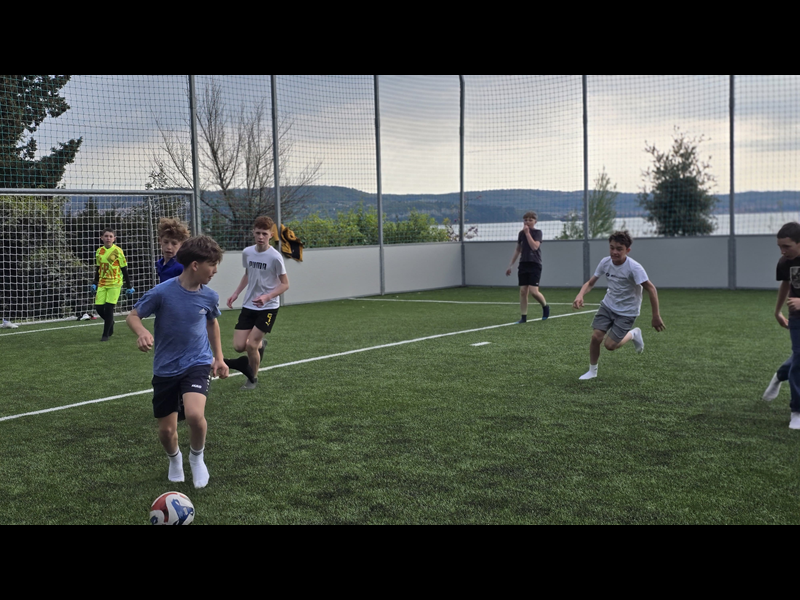 Slika 1: 