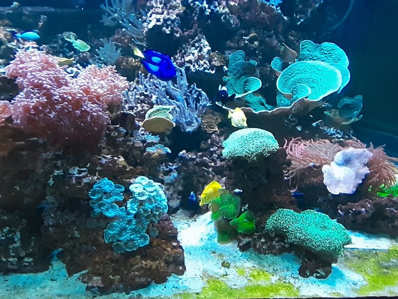 Slika 3: Sea Life Centre