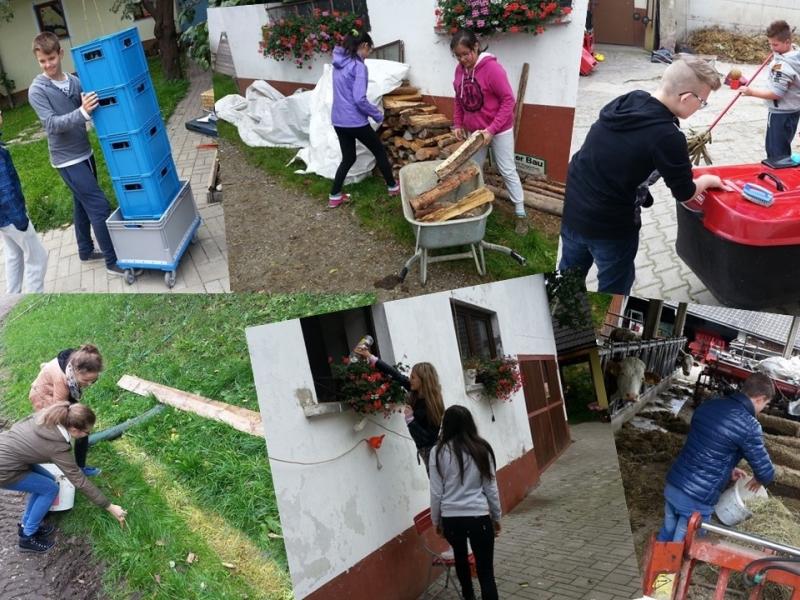 Slika 5: Delo na kmetiji Boštjan, ©Nadja Schellander
